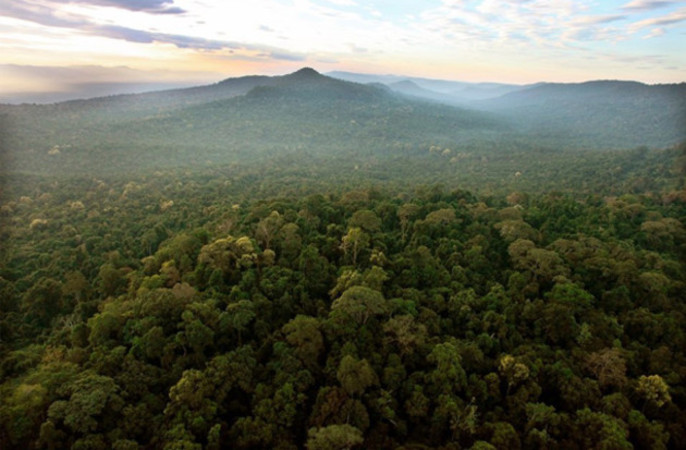 Untouched paradise: Areng Valley (Pic by the Cambodia Herald)