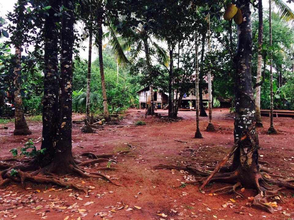 Red soil, a sign of fertility and the wooden house of a local family in Areng Valley